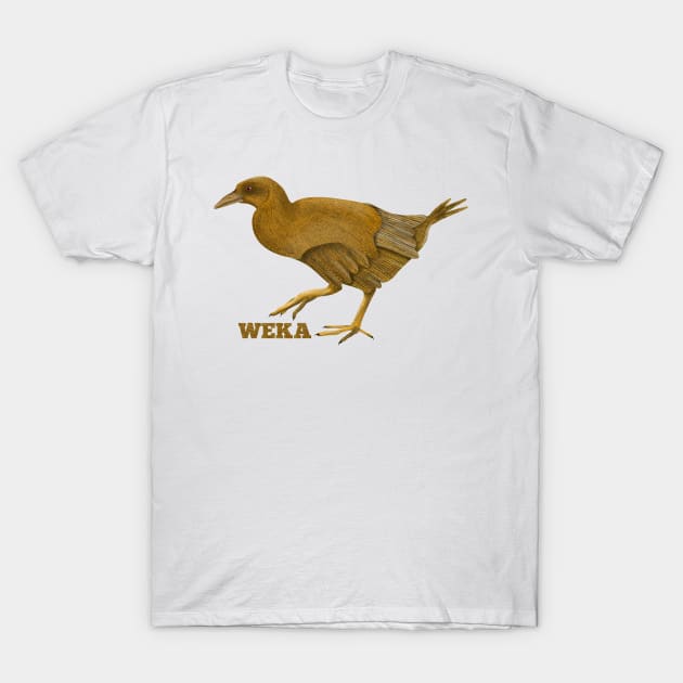 Weka New Zealand Bird T-Shirt by mailboxdisco